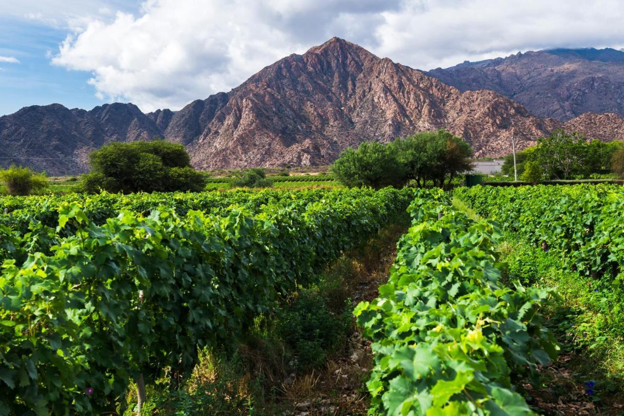 Vinas De Cafayate Wine Resort Extérieur photo