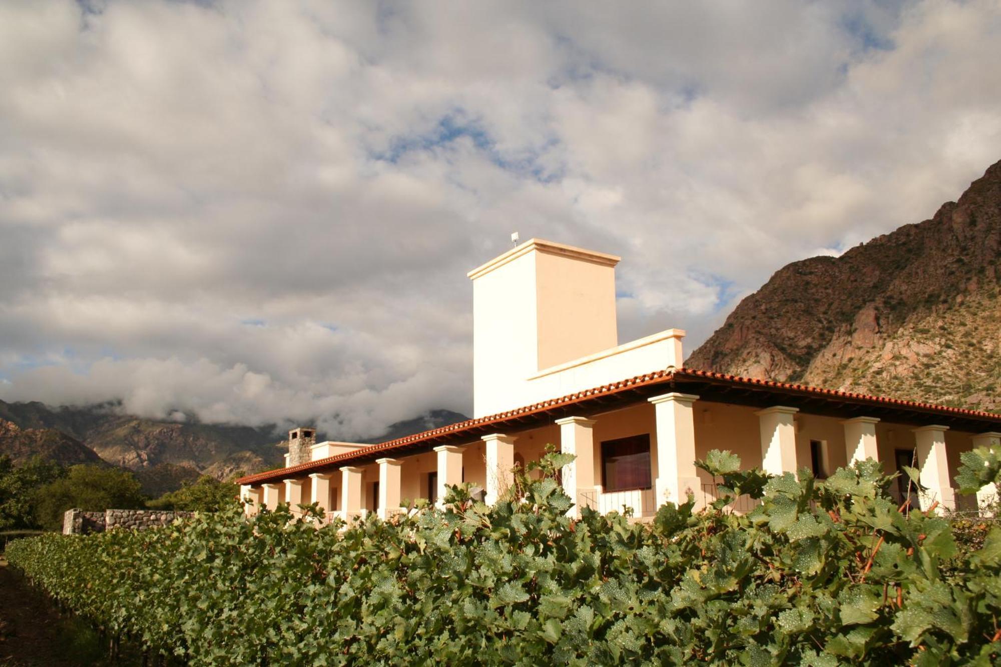 Vinas De Cafayate Wine Resort Extérieur photo